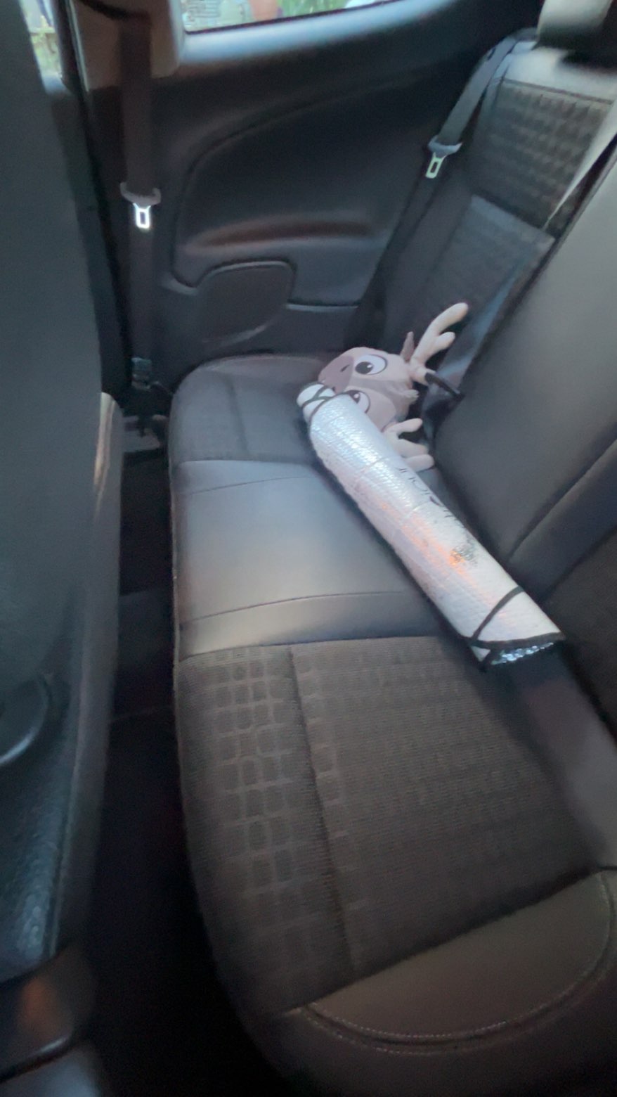 Nettoyage intérieur automobile - Beaurepaire 38270